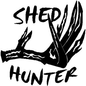 Shed Hunter Decal