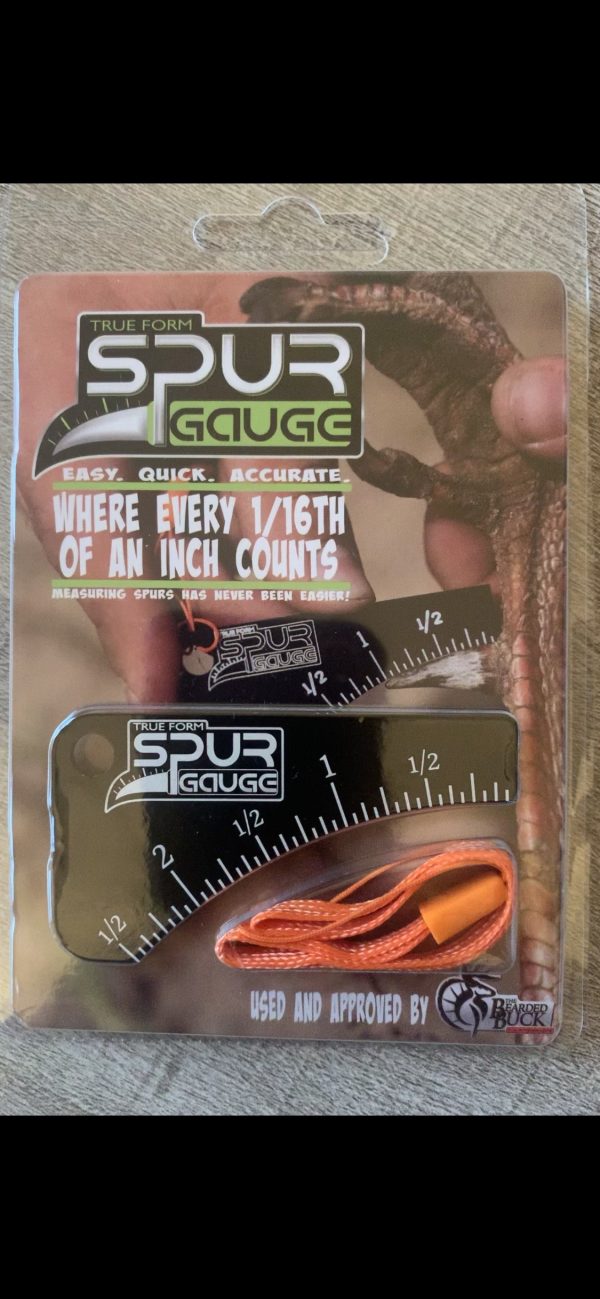 Spur Gauge