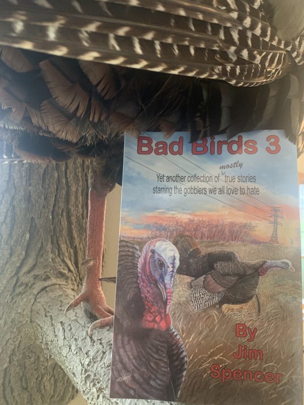 Bad Birds 3-By Jim Spencer